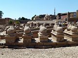 Karnak Temple Amon Allee Sphinx Belier 0077